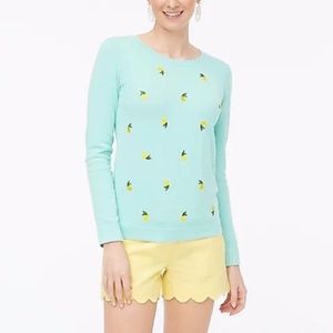 J Crew Teddy Sweater